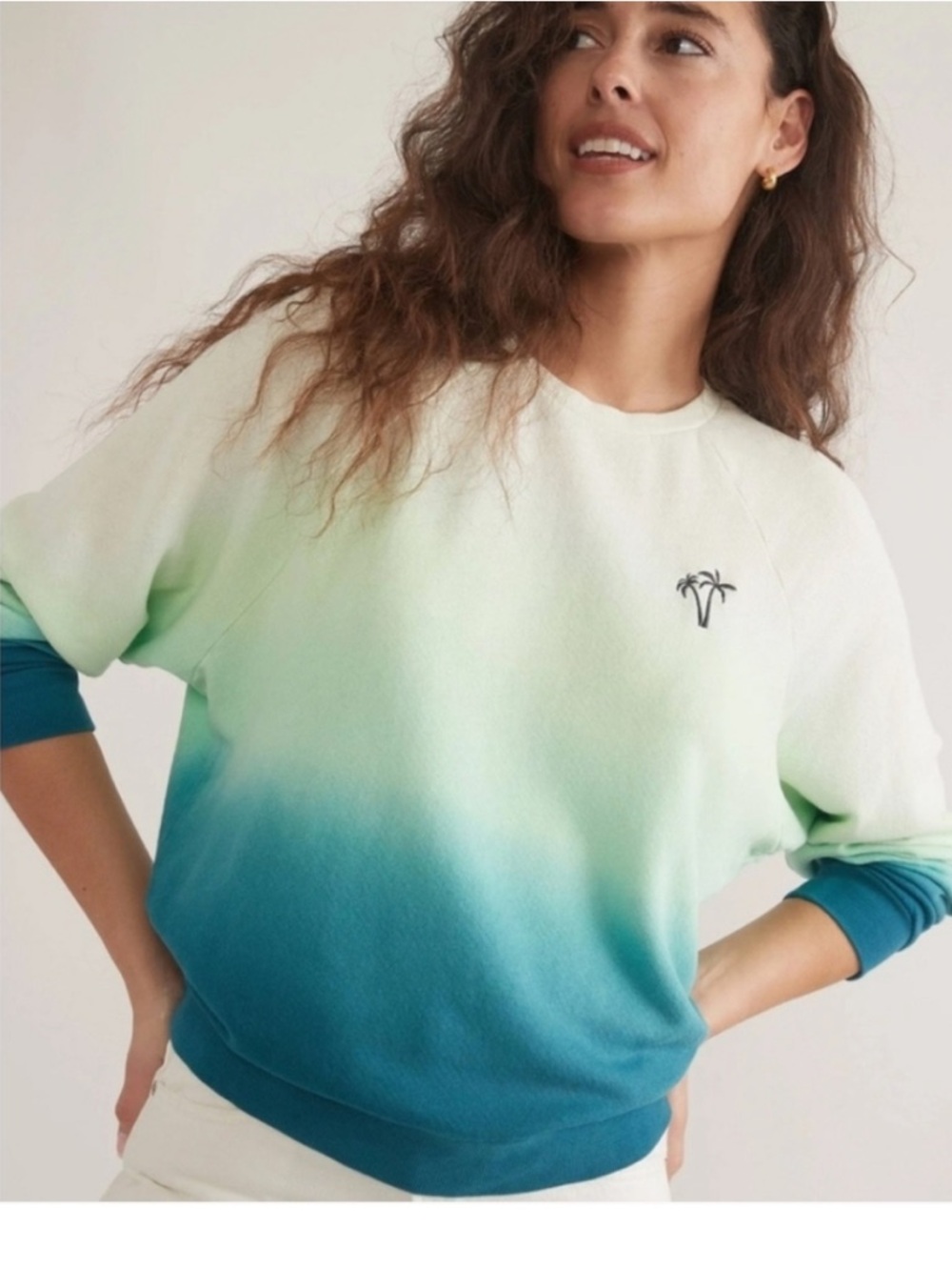 MARINE LAYER Dip Dye Raglan Sweatshirt Blue and Green Ombré Medium